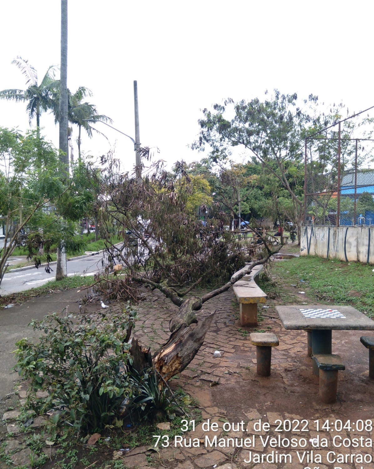 árvore de porte médio caiu próximo aos bancos  e mesa de concreto, em uma praça